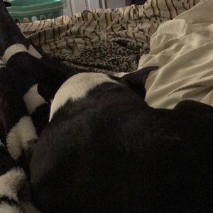 Meet your Posher, Derek